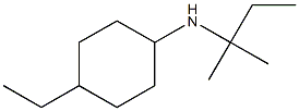 4-ethyl-N-(2-methylbutan-2-yl)cyclohexan-1-amine Struktur