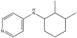 N-(2,3-dimethylcyclohexyl)pyridin-4-amine Struktur