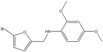 N-[(5-bromofuran-2-yl)methyl]-2,4-dimethoxyaniline Struktur