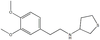N-[2-(3,4-dimethoxyphenyl)ethyl]thiolan-3-amine Struktur