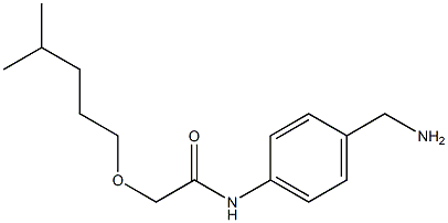N-[4-(aminomethyl)phenyl]-2-[(4-methylpentyl)oxy]acetamide Structure