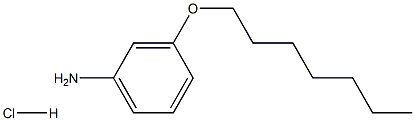3-(heptyloxy)aniline hydrochloride Struktur