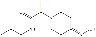 2-[4-(hydroxyimino)piperidin-1-yl]-N-(2-methylpropyl)propanamide Struktur