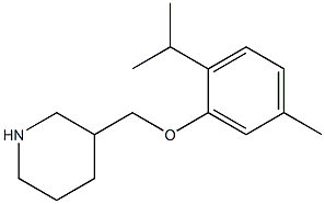 3-[5-methyl-2-(propan-2-yl)phenoxymethyl]piperidine Struktur