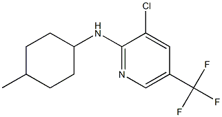 3-chloro-N-(4-methylcyclohexyl)-5-(trifluoromethyl)pyridin-2-amine Struktur