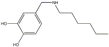 4-[(hexylamino)methyl]benzene-1,2-diol Struktur