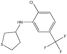 N-[2-chloro-5-(trifluoromethyl)phenyl]thiolan-3-amine Struktur