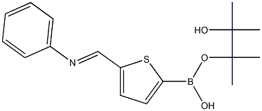 5-[(苯亞氨基)甲基]-2-噻吩基硼酸頻那醇酯