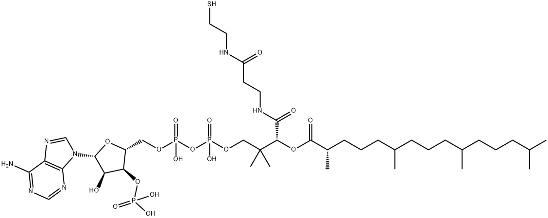 Coenzyme A, S-(2,6,10,14-tetramethylpentadecanoate) Struktur