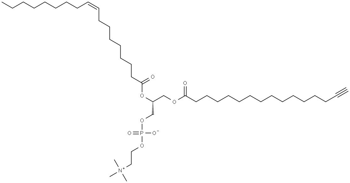 16:0(alkyne)-18:1 PC Struktur