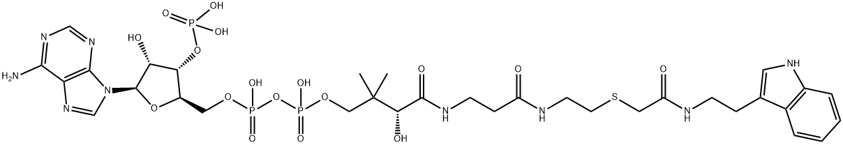 Coenzyme A, S-[2-[[2-(1H-indol-3-yl)ethyl]amino]-2-oxoethyl]- Struktur