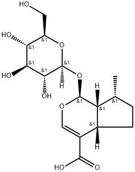  化學(xué)構(gòu)造式