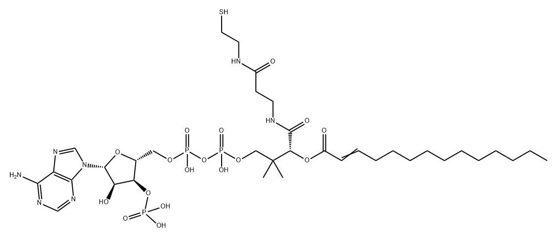 Coenzyme A, S-2-tetradecenoate Struktur