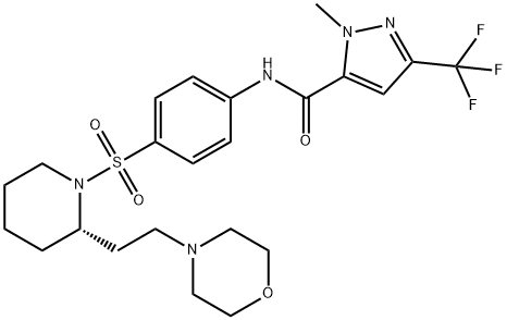 ERDRP-0519 Struktur