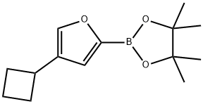 1,3,2-Dioxaborolane, 2-(4-cyclobutyl-2-furanyl)-4,4,5,5-tetramethyl- Struktur