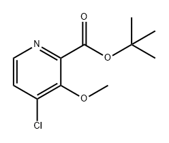 2-Pyridinecarboxylic acid, 4-chloro-3-methoxy-, 1,1-dimethylethyl ester Struktur