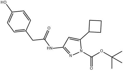 1H-Pyrazole-1-carboxylic acid, 5-cyclobutyl-3-[[2-(4-hydroxyphenyl)acetyl]amino]-, 1,1-dimethylethyl ester Structure