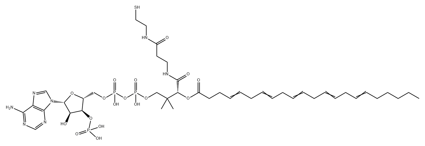 Coenzyme A, S-4,7,10,13,16-docosapentaenoate Struktur