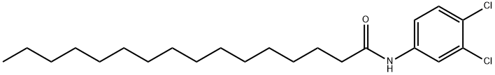 N-(3,4-Dichlorophenyl)hexadecanamide Struktur