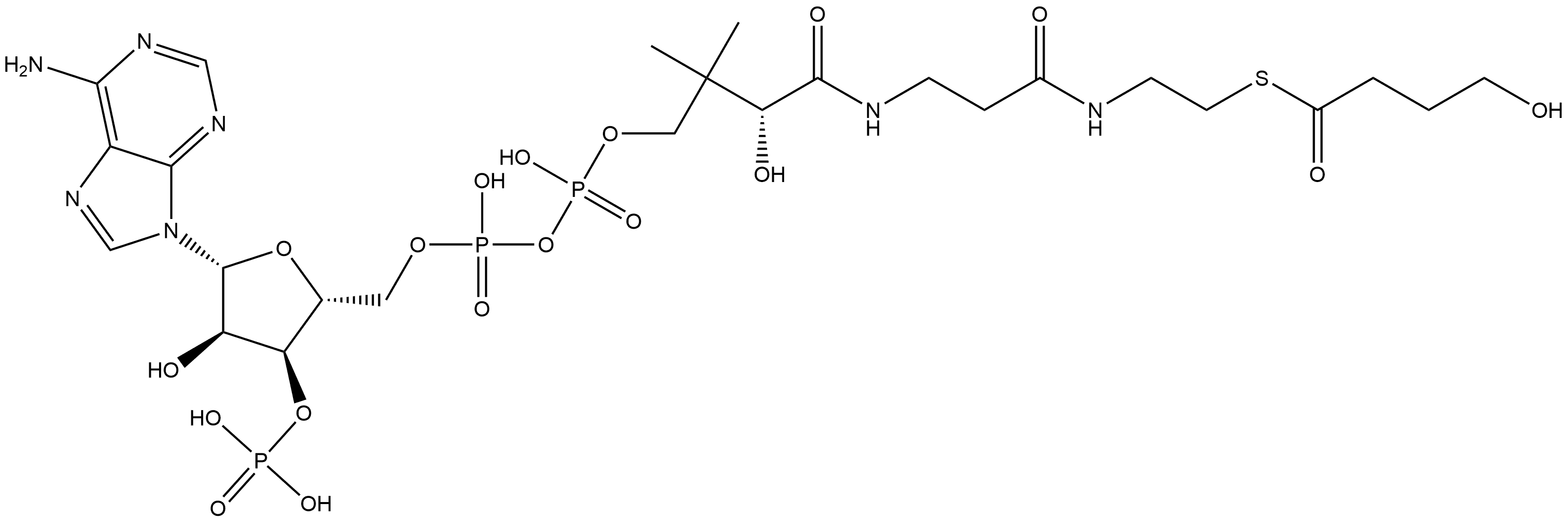 Coenzyme A, S-(4-hydroxybutanoate) Struktur