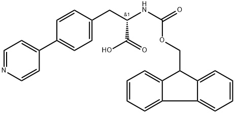 化學(xué)構(gòu)造式