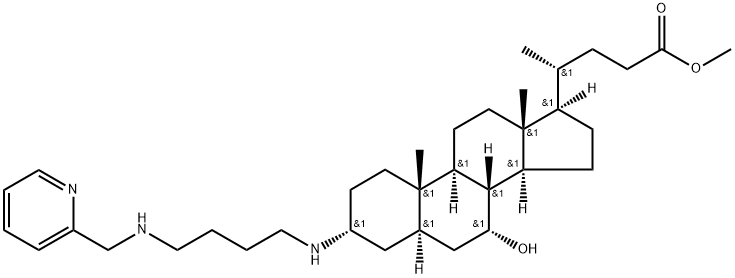 DPM-1001 Struktur