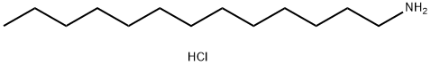 Name Struktur