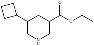 ethyl5-cyclobutylpiperidine-3-carboxylate Struktur