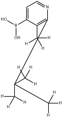 [2-(tert-Butyl)-3-methyl-d12]-pyridine-4-boronic acid Struktur