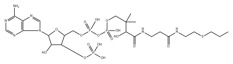 Propyl coenzyme A Struktur