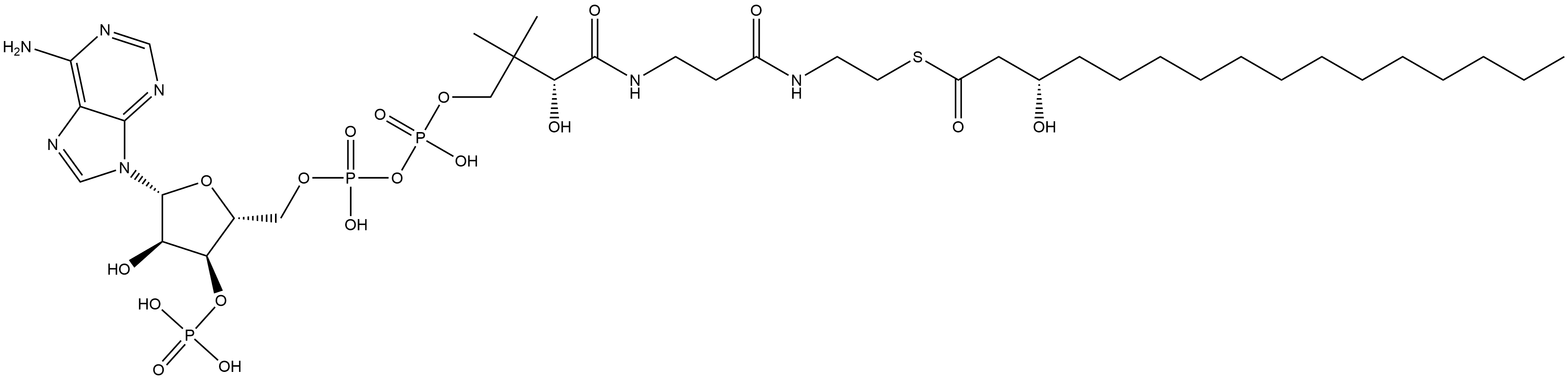 Coenzyme A, S-[(3S)-3-hydroxyhexadecanoate] Struktur