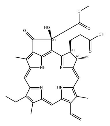 10-HYDROXY-PHEOPHORBIDEA Structure
