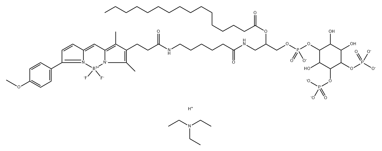 GloPIPs BODIPY TMR-PtdIns(4,5)P2-C16 Struktur