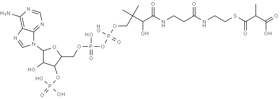 S-?(hydrogen methylpropanedioate)-CoA Struktur