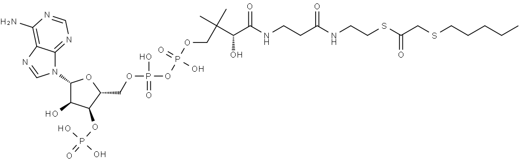 3-Thiaoctanoyl-CoA Struktur