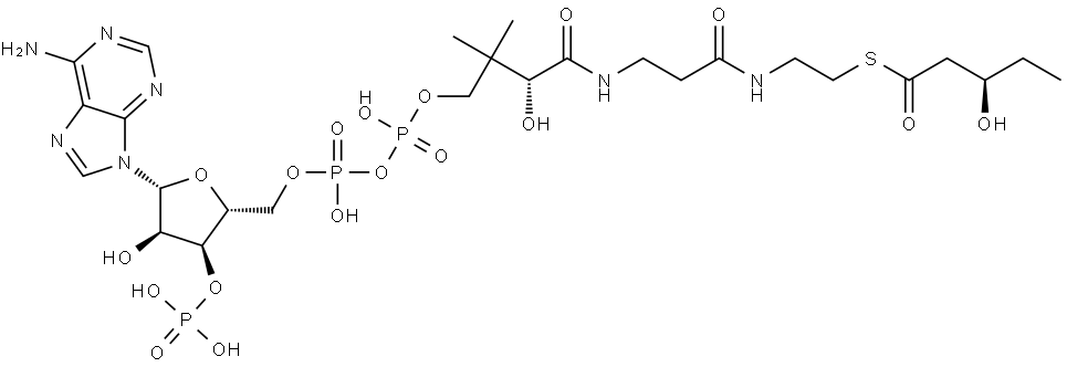 D-3-Hydroxyvaleryl-CoA Struktur