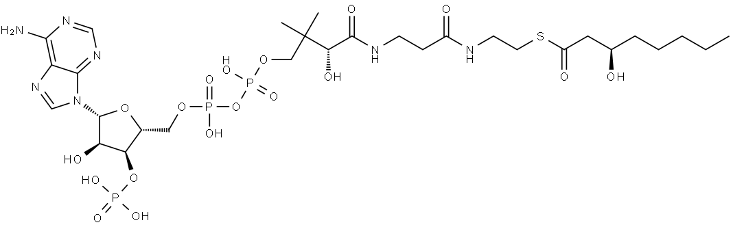 3(R)-Hydroxyoctanoyl-CoA Struktur