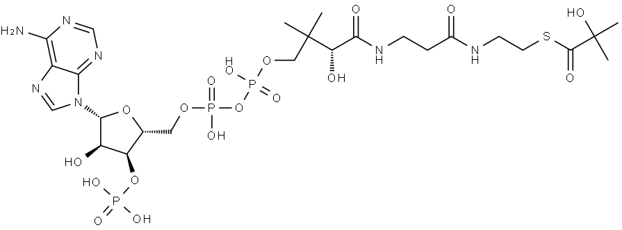 2-hydroxyisobutyryl-CoA Struktur