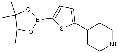 5-(Piperidin-4-yl)thiophene-2-boronic acid pinacol ester Struktur