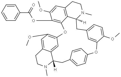 HL23 Struktur