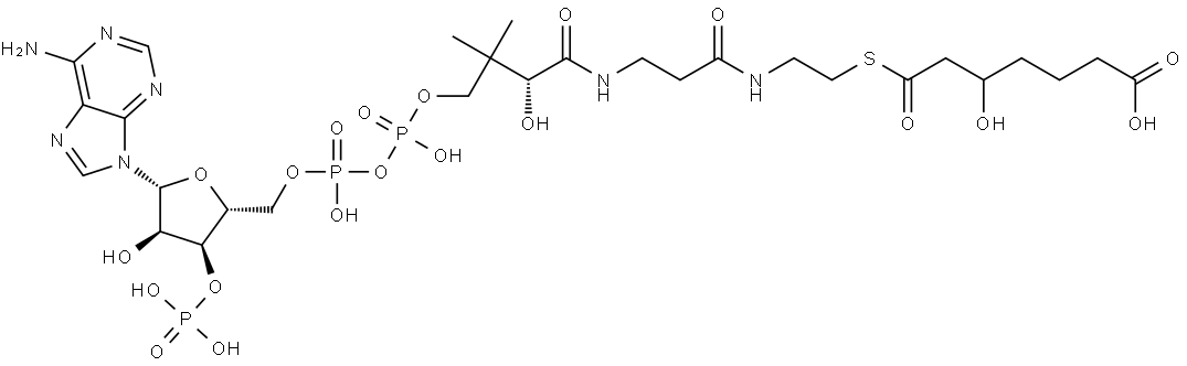 3-Hydroxypimelyl-CoA Struktur