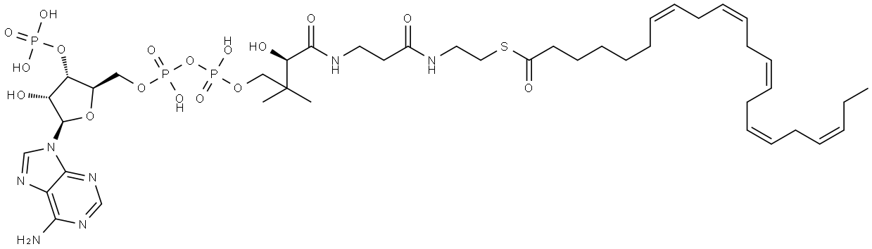Coenzyme A, S-(7Z,10Z,13Z,16Z,19Z)-7,10,13,16,19-docosapentaenoate Struktur