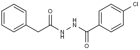 4-CHLOROBENZOIC N2-(2-PHENYLACETYL)HYDRAZIDE Structure