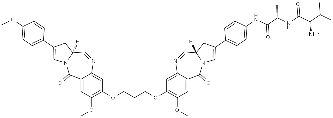 VA-SG3132 Struktur