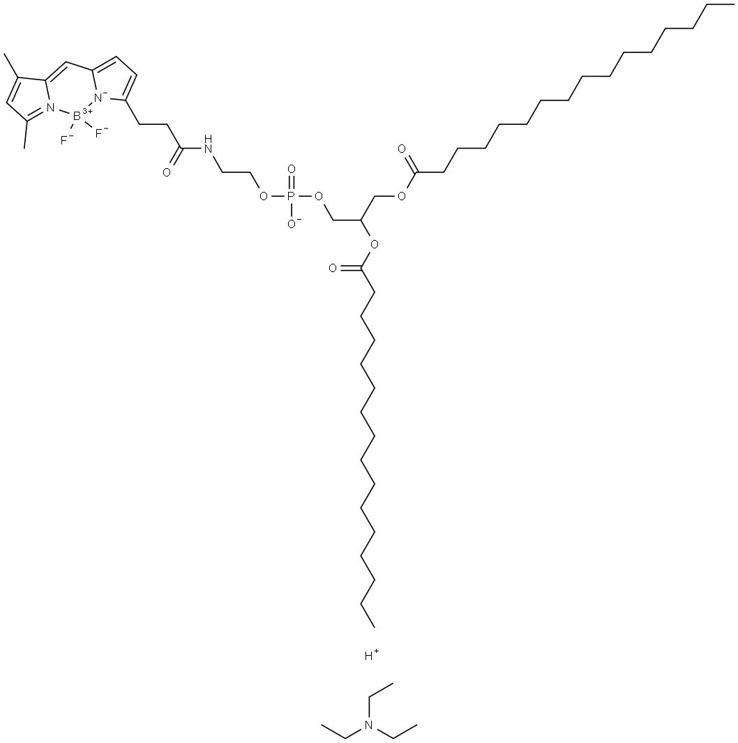 BODIPY FL-DHPE Struktur