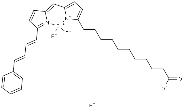 BODIPY 581/591 C11 Struktur