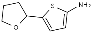 5-(tetrahydrofuran-2-yl)thiophen-2-amine Struktur