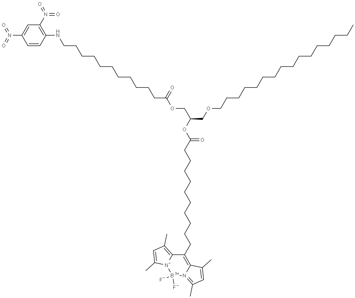 C16/C11-TF/C12-DNP TG Struktur