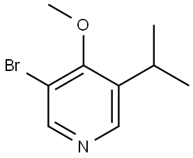 2460491-36-3