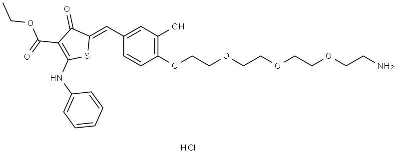3-Thiophenecarboxylic acid, 5-[[4-[2-[2-[2-(2-aminoethoxy)ethoxy]ethoxy]ethoxy]-3-hydroxyphenyl]methylene]-4,5-dihydro-4-oxo-2-(phenylamino)-, ethyl ester, hydrochloride (1:1), (5Z)- Struktur